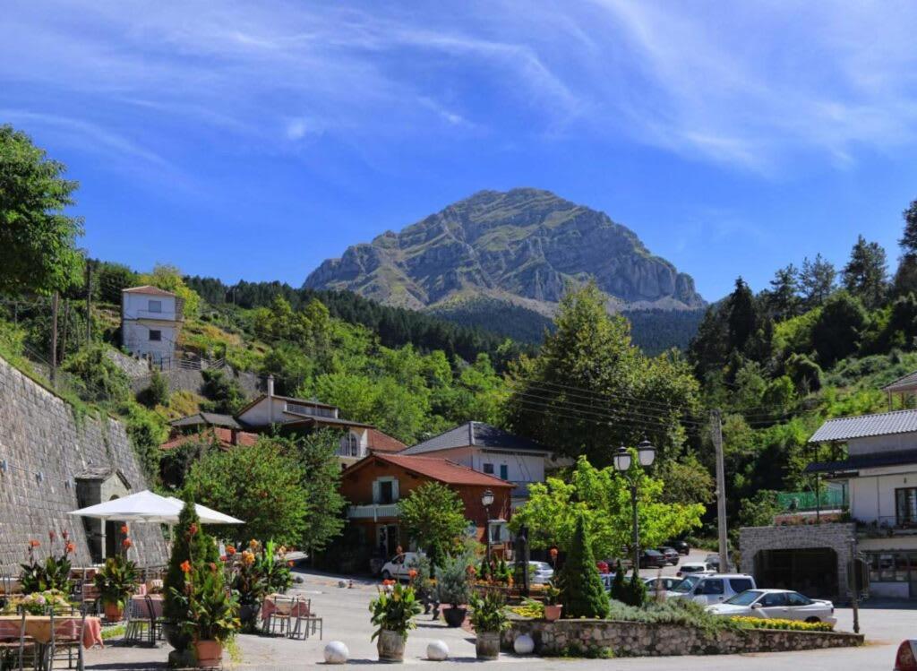 Armonia Pramanta Mountain Tzoumerka エクステリア 写真